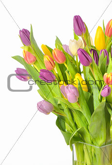 bouquet of colorful tulips