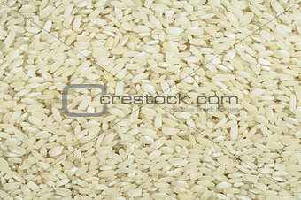 Rrice grain