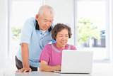 Senior couple using a laptop at home