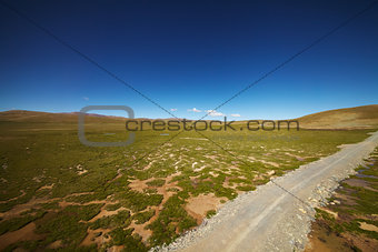 Green plains with mountain landscape