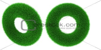 Grassy torus object
