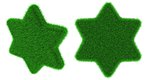 Grassy star object
