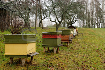 Row of Honey Bee Hives