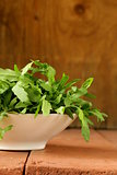 bowl with fresh green salad of arugula