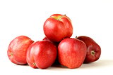 fresh organic ripe red apples on a white background