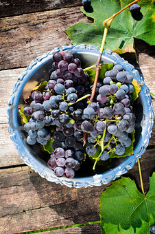 Grapes in plate