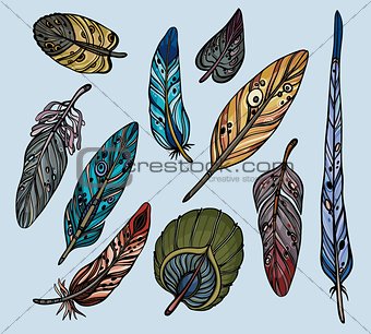 Isolated feathers.