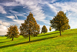 Idyllic autumn scenery on the golf course