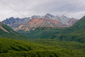 Lush Landscape Alaskan Mountain Range