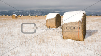 Horizontal Snow Field Round Rolled Hay Bales