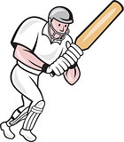 Cricket Player Batsman Batting Cartoon