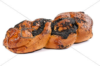 delicious loaf with poppy seeds