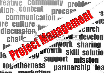 Project management word cloud