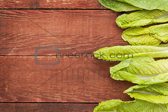 romaine lettuce leaves