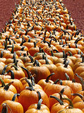 Perspective View of Pumpkin Row