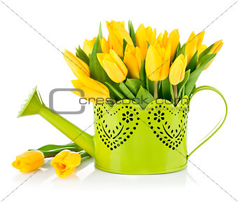 Bunch yellow tulips in watering can