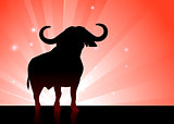 bull onshiny red background