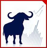 bull on business background with red border
