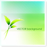 Leaf on Vector Background