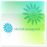 Floral Design on Vector Background