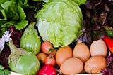 basket of fresh vegetables