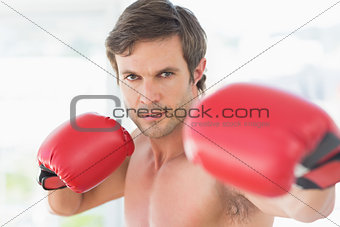 Closeup portrait of a determined male boxer