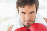 Closeup portrait of a determined male boxer