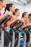 Fit people working out at spinning class