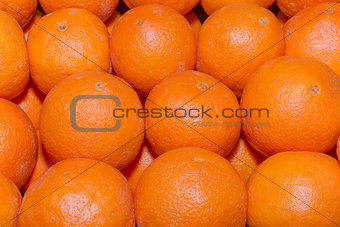 Red oranges  Portugal