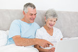 Senior couple using laptop in bed