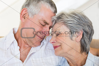 Loving senior couple with head to head