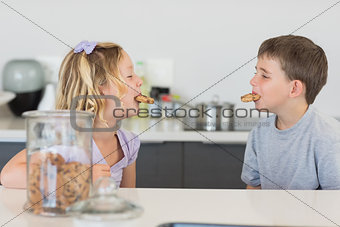 Siblings with cookies in mouth at kitchen counter