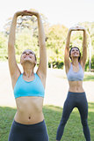 Sporty young women exercising