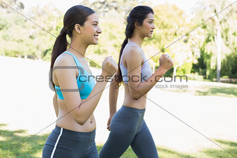 Sporty women jogging