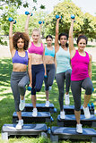 Determined women doing step aerobics in park