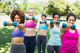 Women exercising with dumbbells in park
