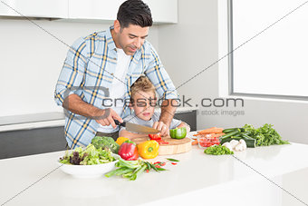 Father teaching his son how to chop vegetables