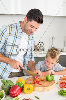 Handsome father teaching his son how to chop vegetables