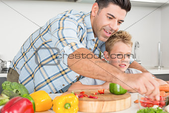 Handsome father showing his son how to prepare vegetables
