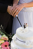Mid section of newlywed cutting wedding cake