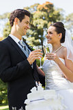 Newlywed toasting champagne flutes besides cake at park