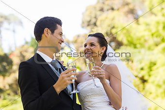 Happy newlywed toasting champagne flutes at park