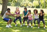 Group of fitness class exercising in park