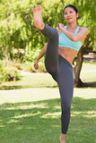 Healthy woman performing air kick in park