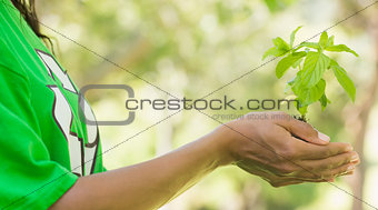 Mid section of woman in recycling t-shirt holding young plant