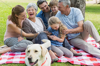 Cheerful extended family sitting on picnic blanket at park