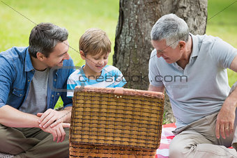 Grandfather father and son with picnic basket at park