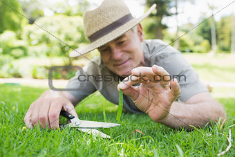 Man cutting grass with scissors