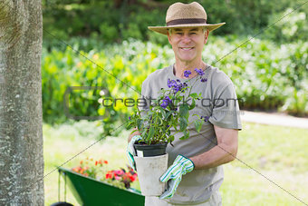 Smiling mature man engaged in gardening