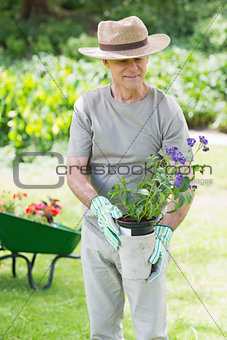 Mature man holding potted plant in garden